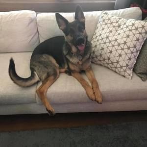 Meet your Posher, Donna